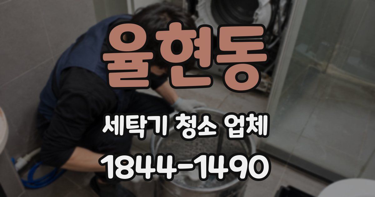 율현동 세탁기 청소 업체