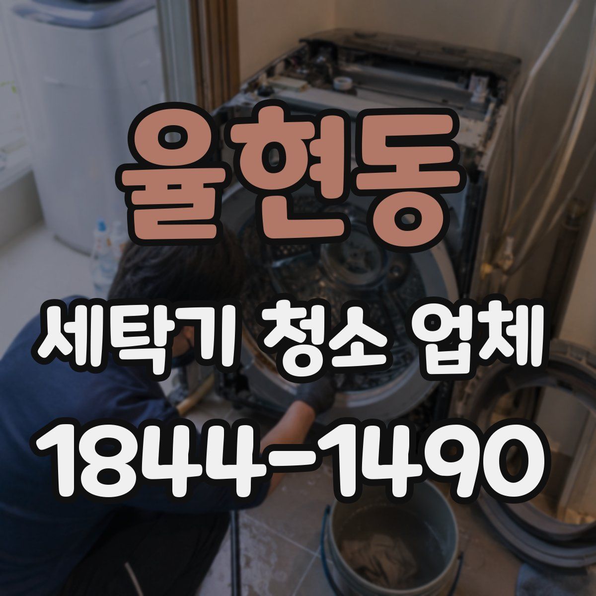율현동 세탁기 청소 업체