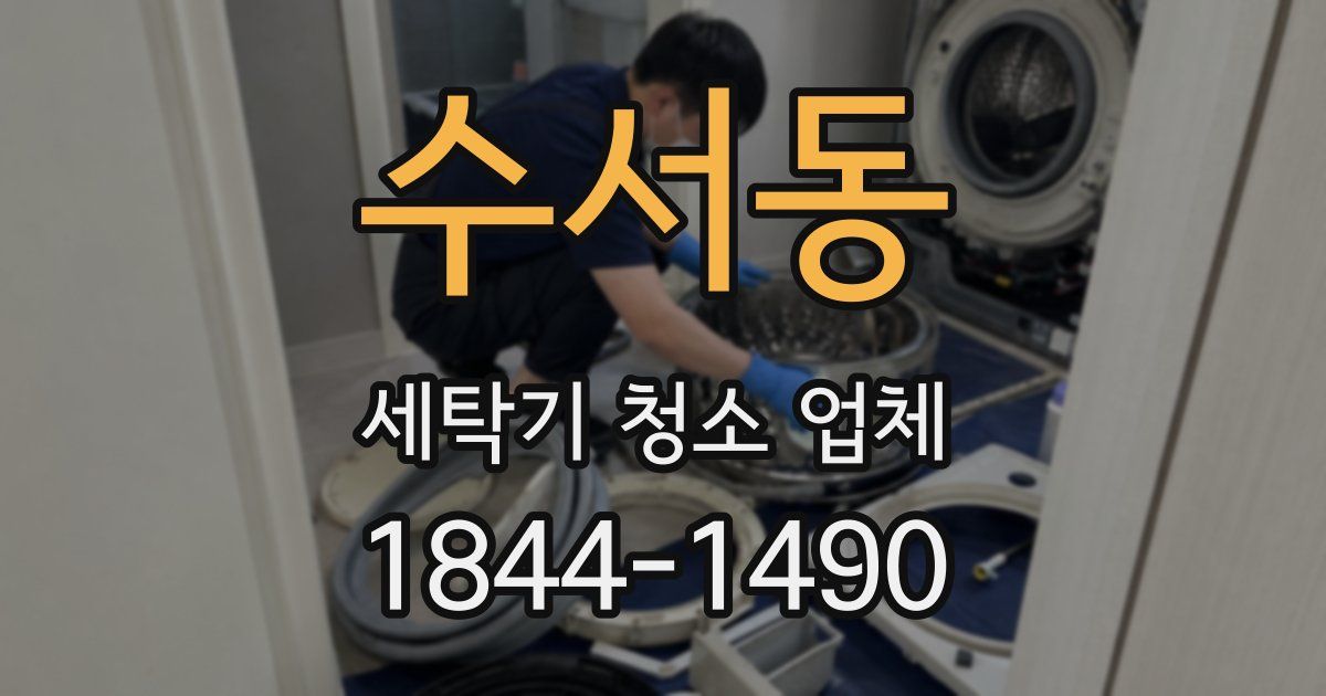 수서동 세탁기 청소 업체