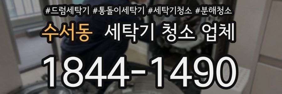 수서동 세탁기 청소 업체