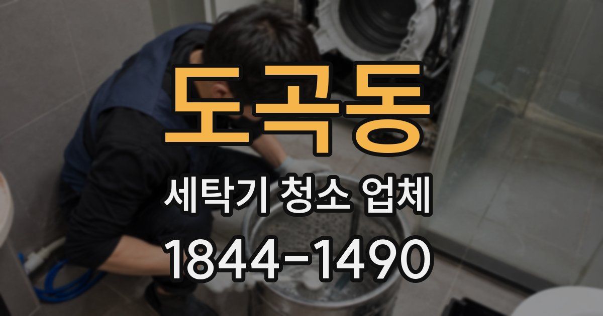 도곡동 세탁기 청소 업체