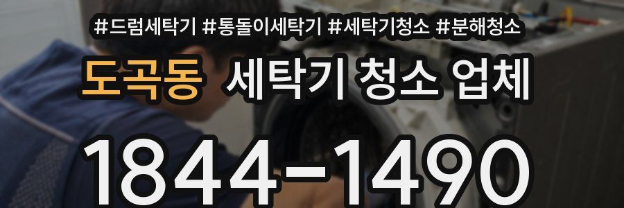 도곡동 세탁기 청소 업체