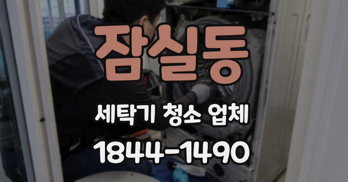 잠실동 세탁기 청소 업체