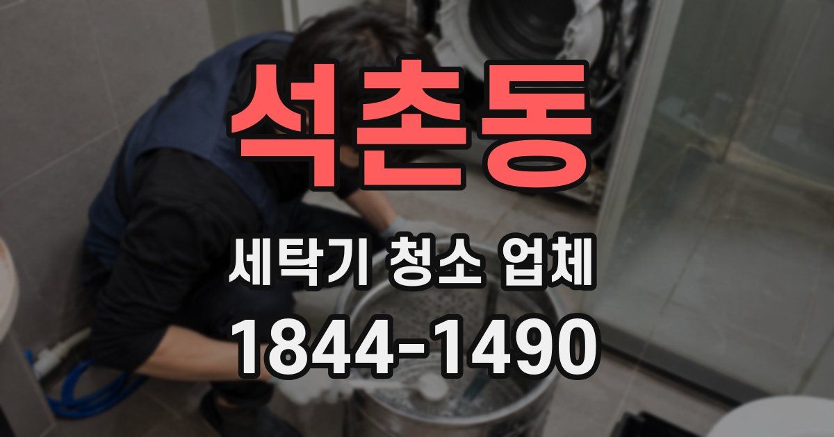 석촌동 세탁기 청소 업체
