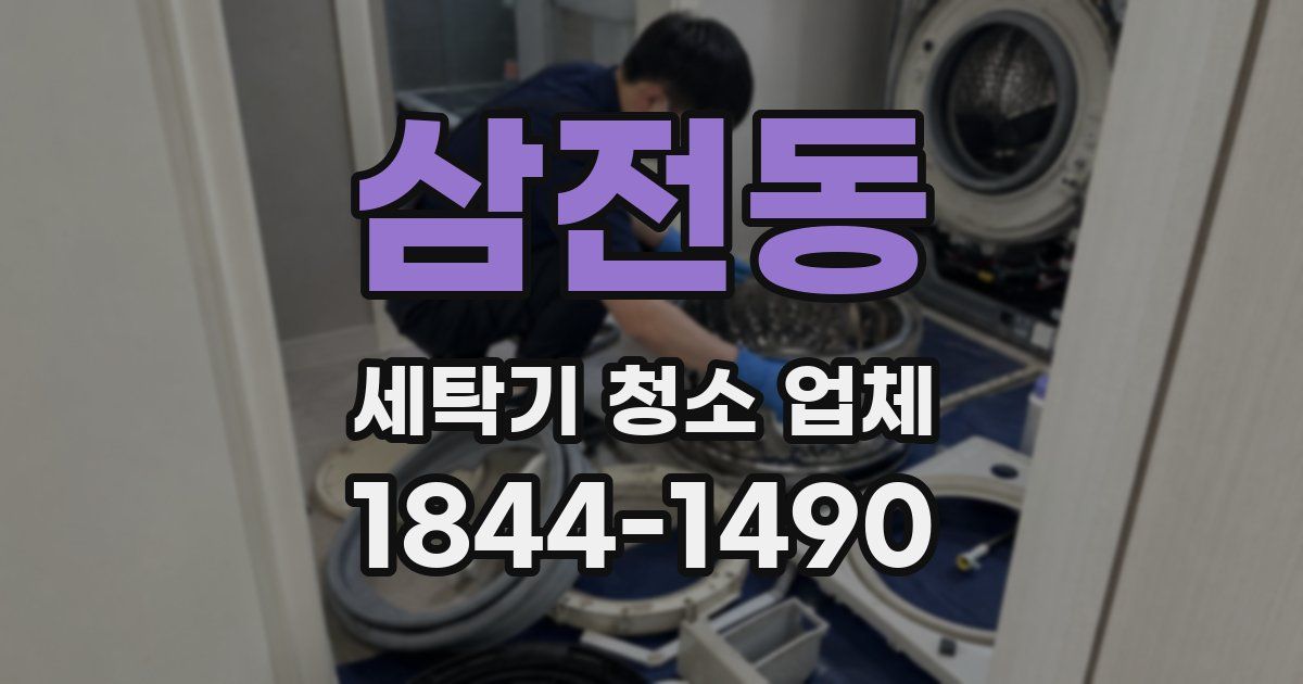삼전동 세탁기 청소 업체