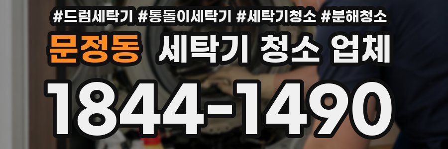 문정동 세탁기 청소 업체