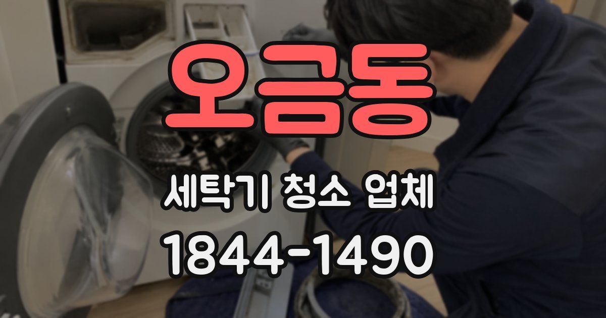 오금동 세탁기 청소 업체
