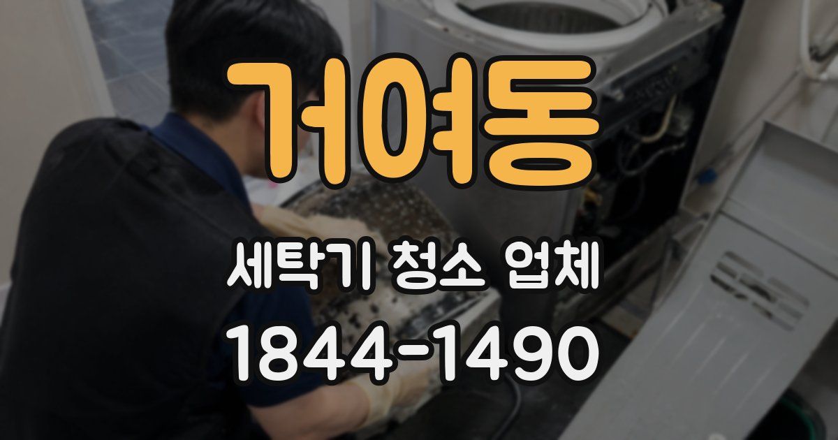 거여동 세탁기 청소 업체