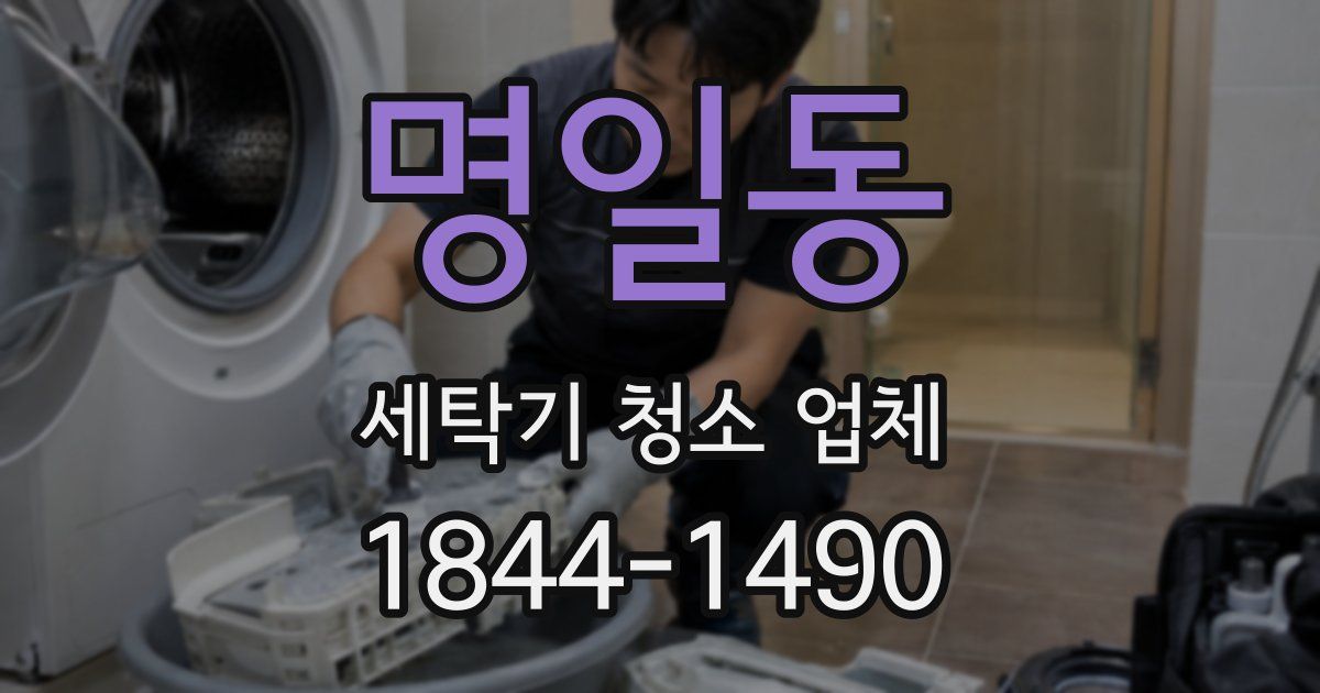 명일동 세탁기 청소 업체