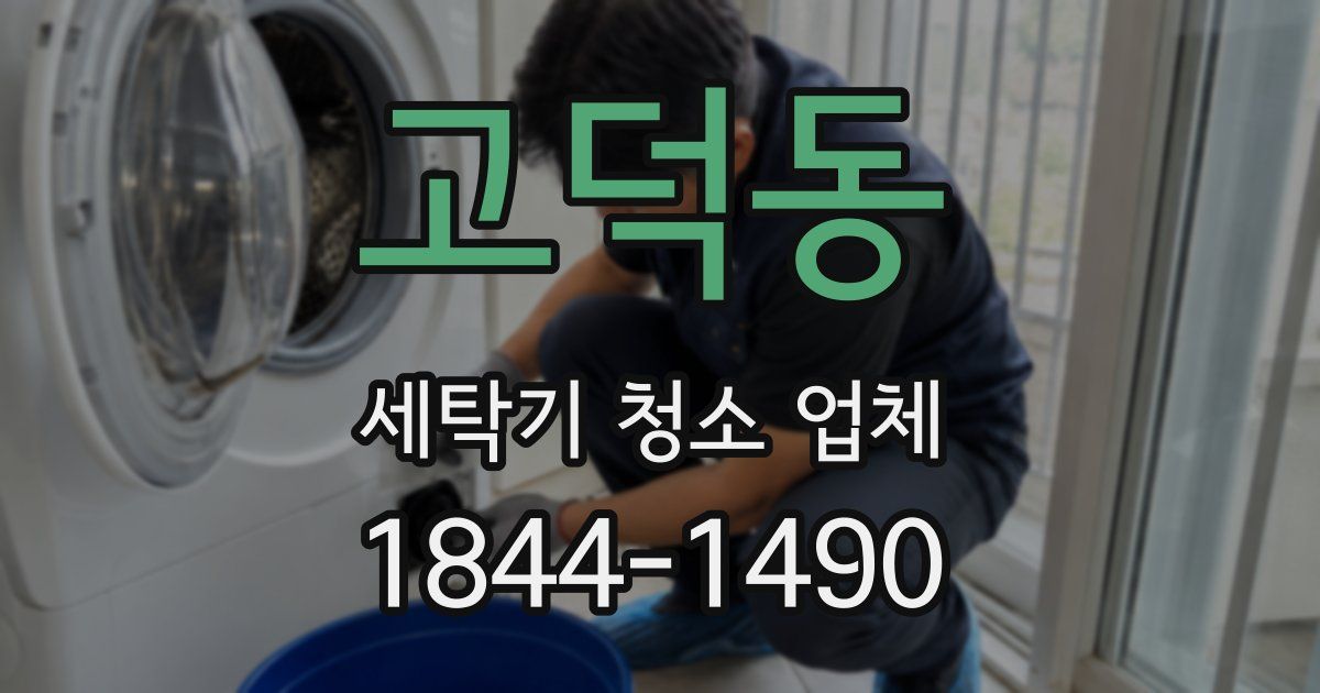 고덕동 세탁기 청소 업체