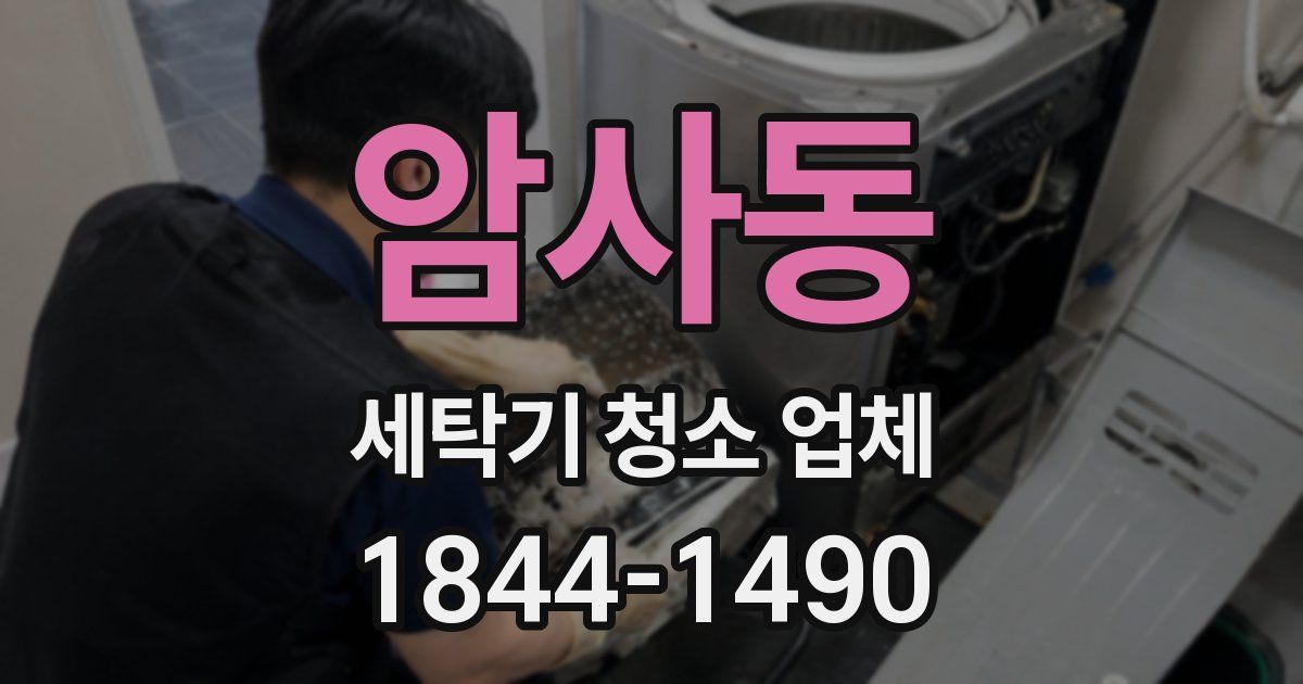 암사동 세탁기 청소 업체