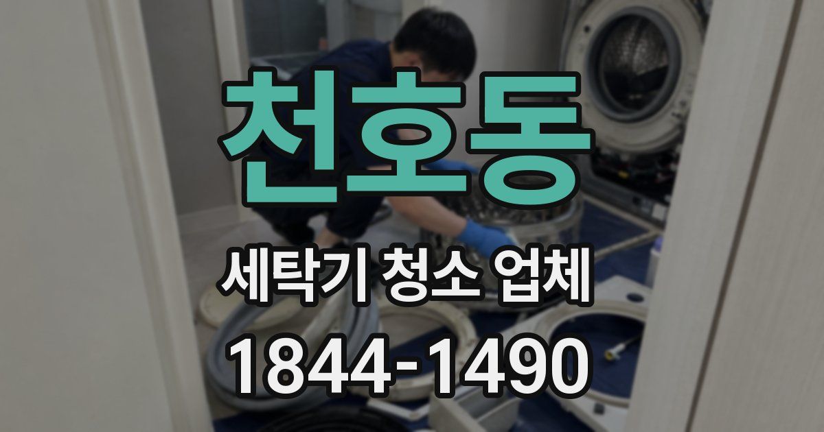 천호동 세탁기 청소 업체