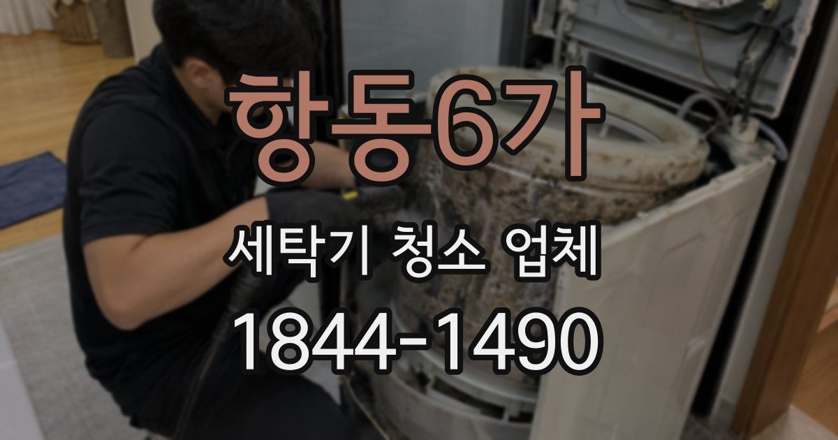 항동6가 세탁기 청소 업체