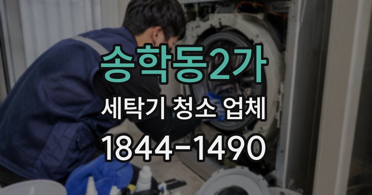 송학동2가 세탁기 청소 업체