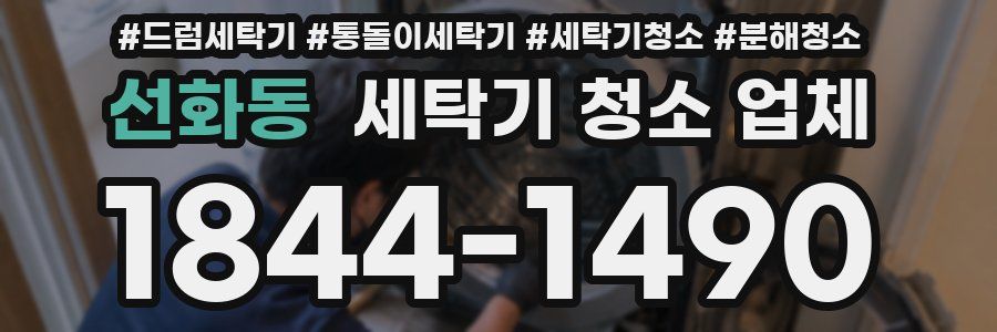 선화동 세탁기 청소 업체