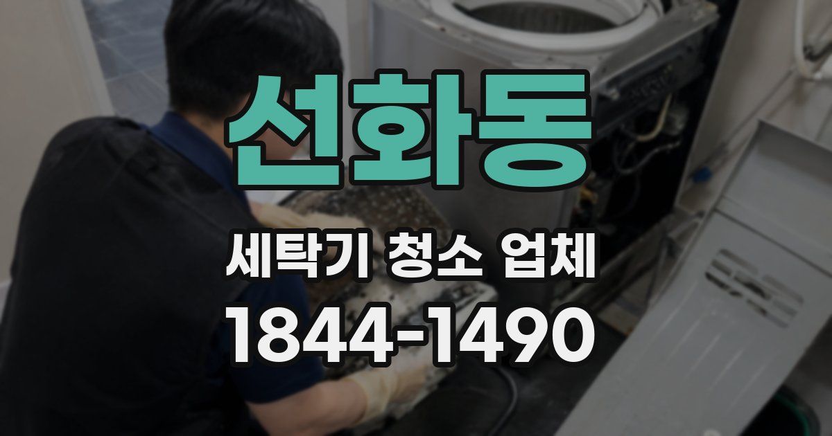 선화동 세탁기 청소 업체