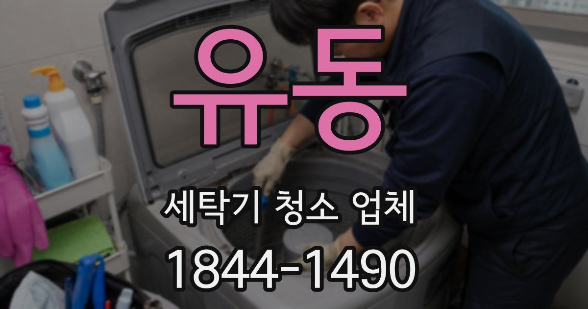 유동 세탁기 청소 업체