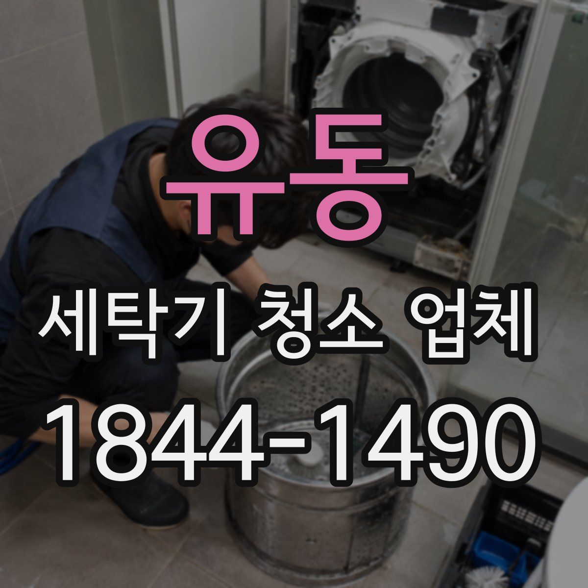 유동 세탁기 청소 업체