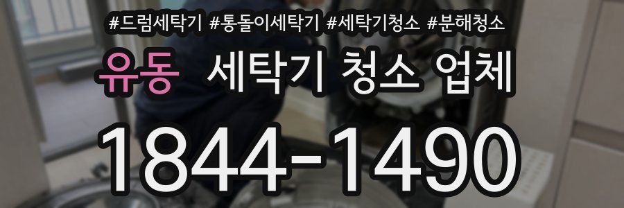 유동 세탁기 청소 업체