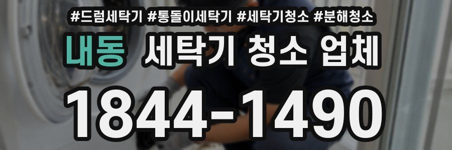 내동 세탁기 청소 업체