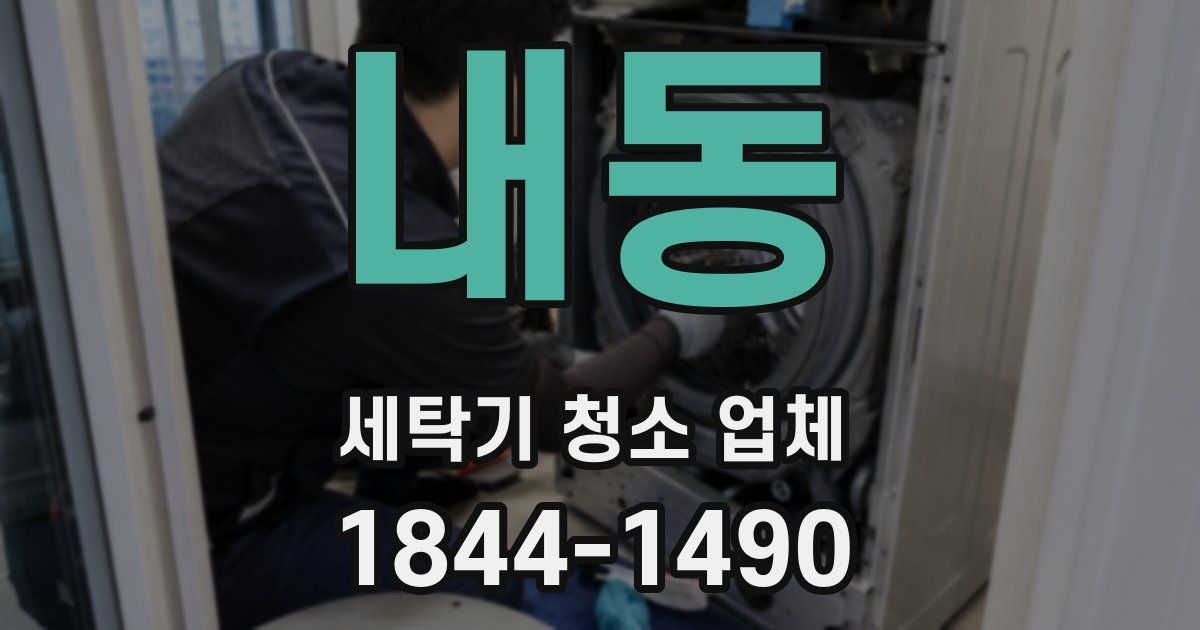 내동 세탁기 청소 업체
