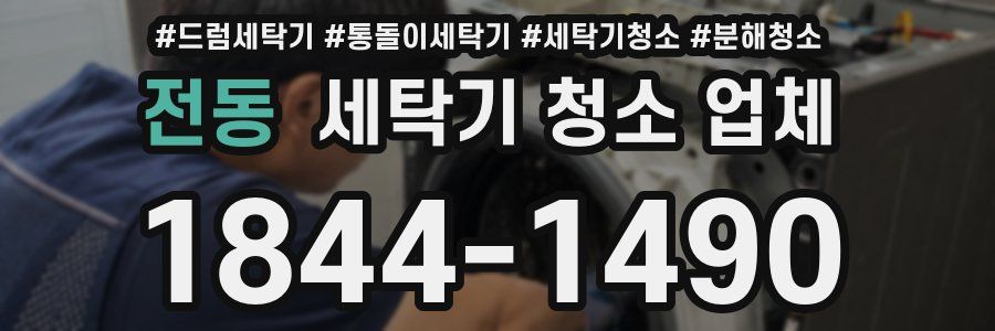 전동 세탁기 청소 업체