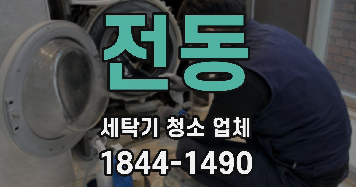전동 세탁기 청소 업체