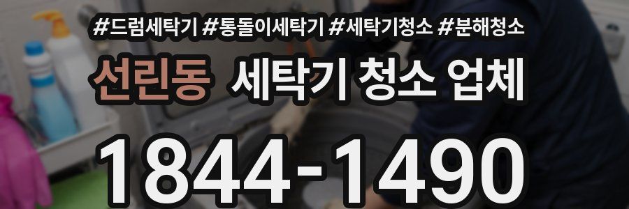 선린동 세탁기 청소 업체