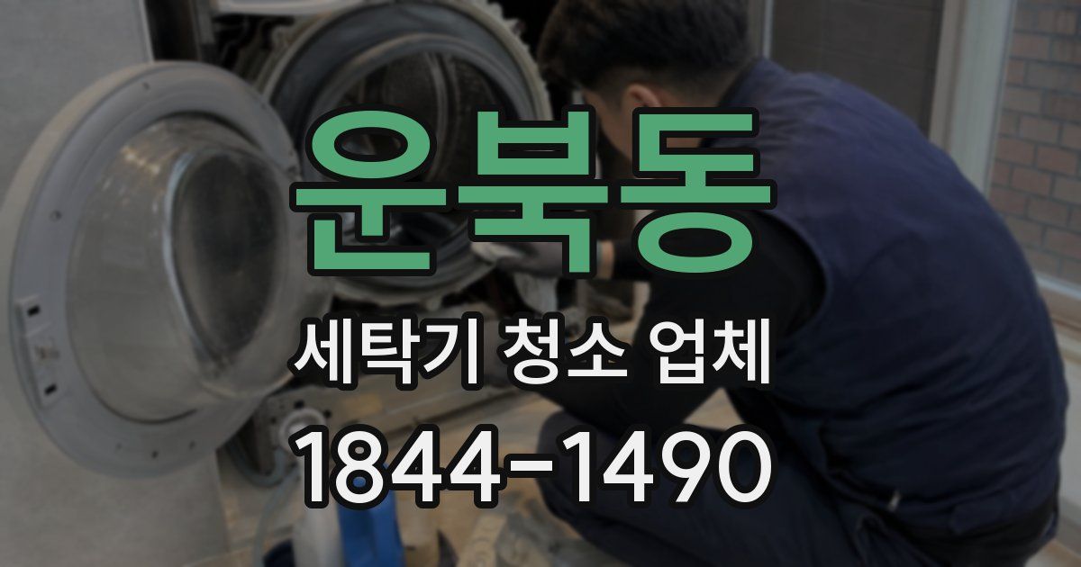 운북동 세탁기 청소 업체
