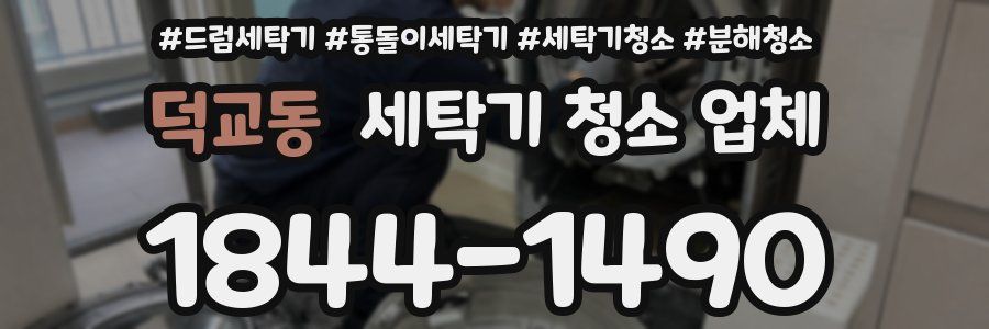 덕교동 세탁기 청소 업체