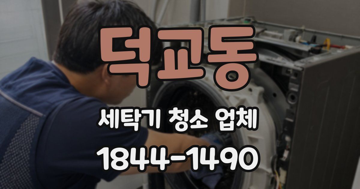 덕교동 세탁기 청소 업체