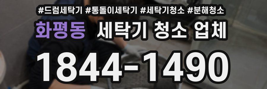 화평동 세탁기 청소 업체