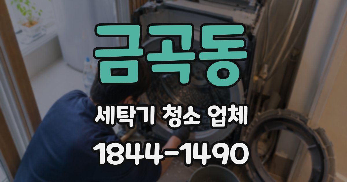 금곡동 세탁기 청소 업체