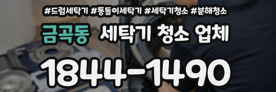 금곡동 세탁기 청소 업체
