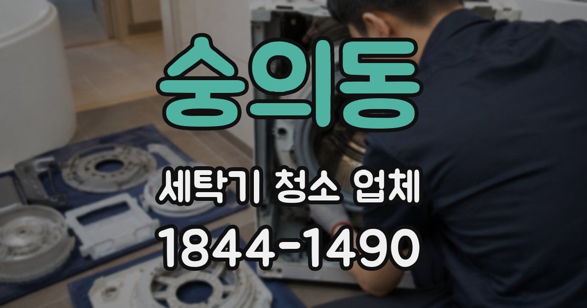 숭의동 세탁기 청소 업체
