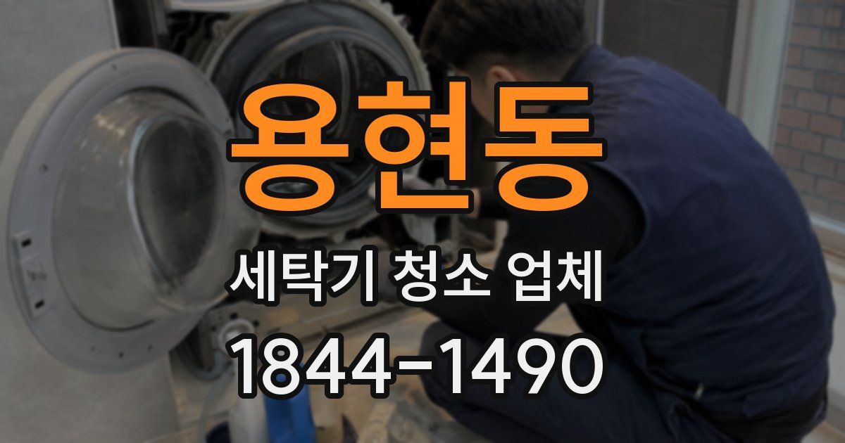 용현동 세탁기 청소 업체