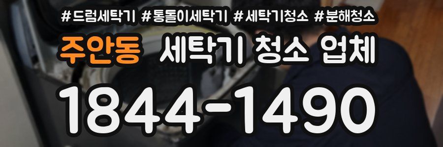 주안동 세탁기 청소 업체