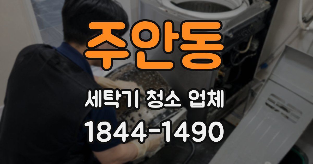 주안동 세탁기 청소 업체