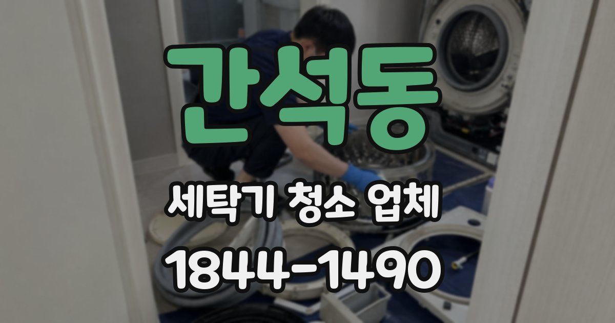 간석동 세탁기 청소 업체