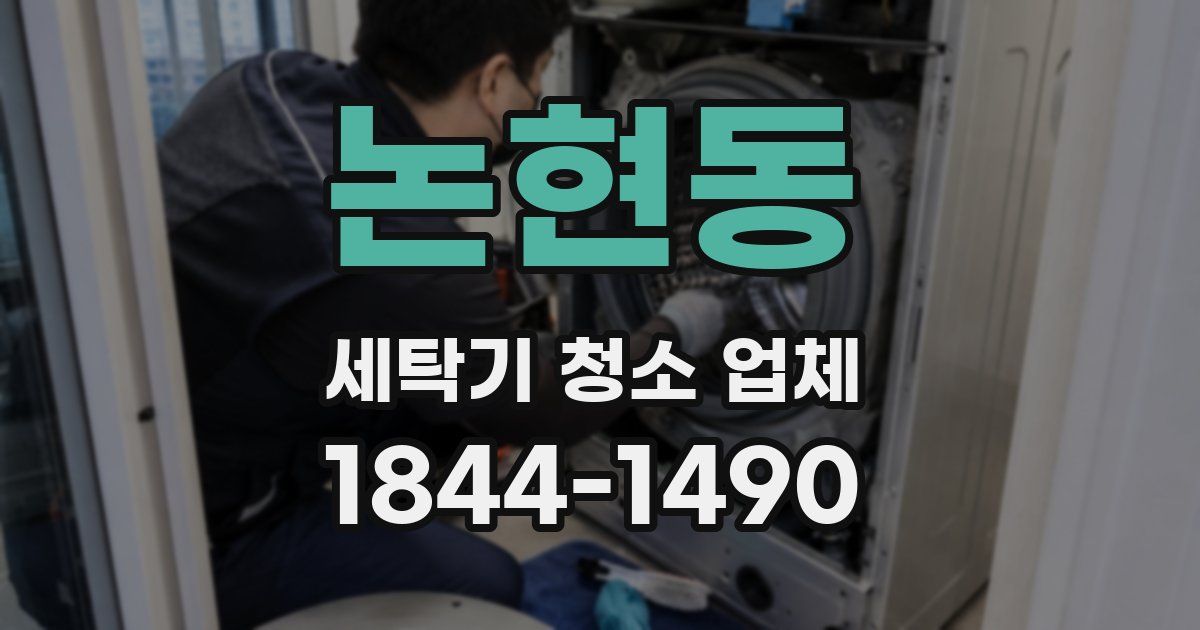 논현동 세탁기 청소 업체