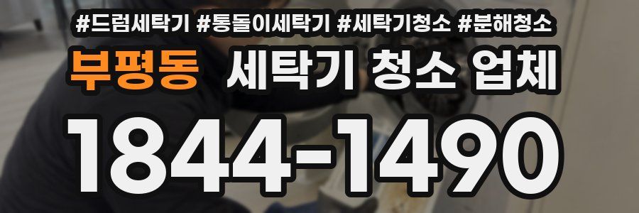 부평동 세탁기 청소 업체