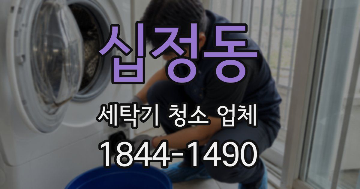 십정동 세탁기 청소 업체