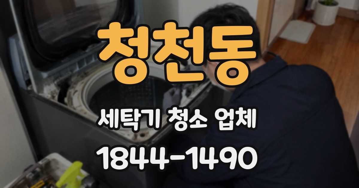 청천동 세탁기 청소 업체