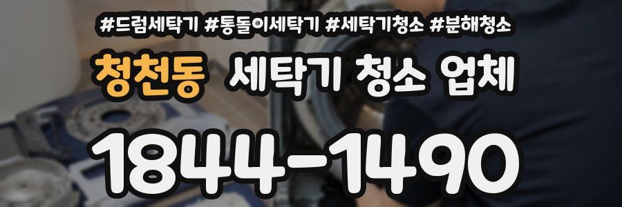 청천동 세탁기 청소 업체