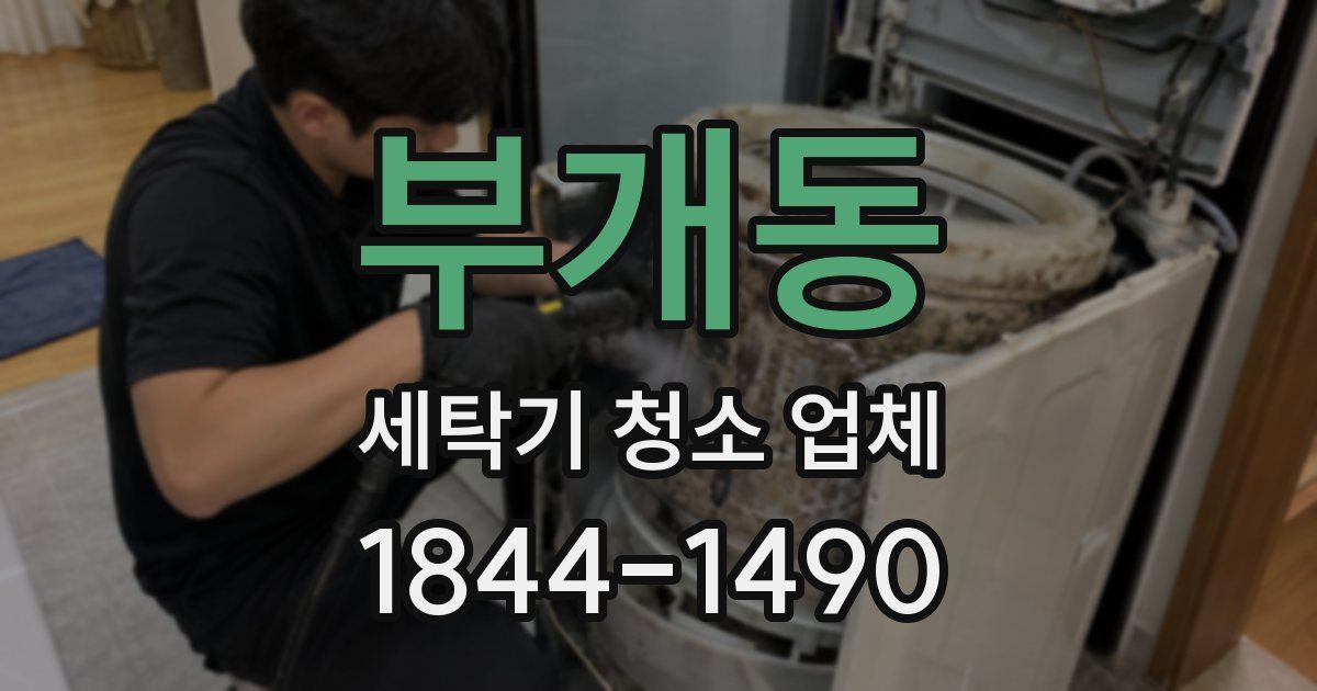부개동 세탁기 청소 업체