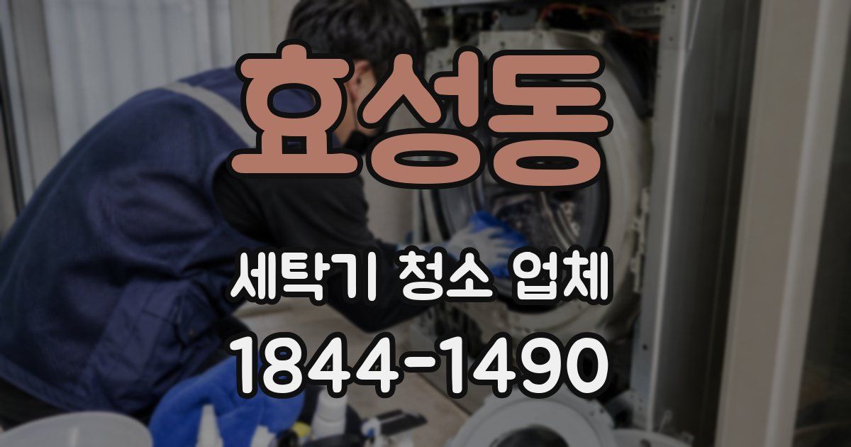 효성동 세탁기 청소 업체