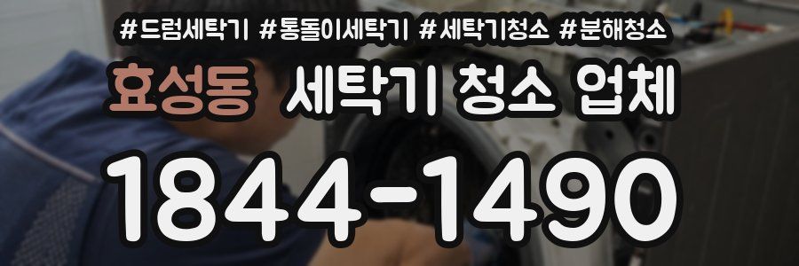 효성동 세탁기 청소 업체