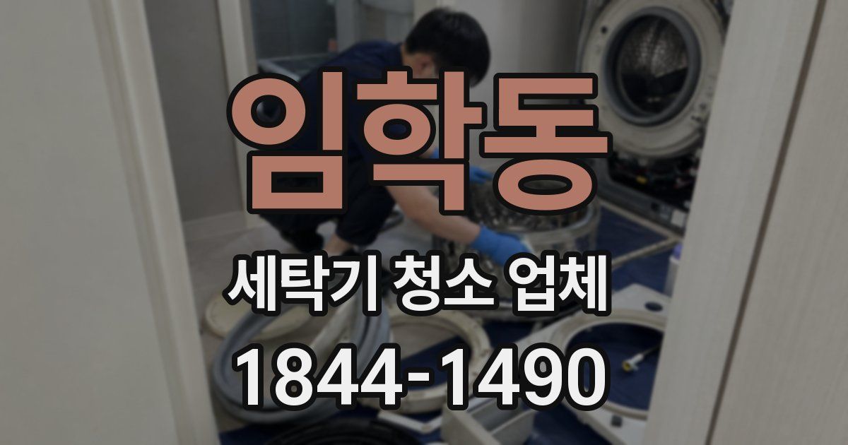 임학동 세탁기 청소 업체