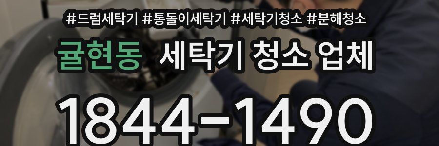 귤현동 세탁기 청소 업체