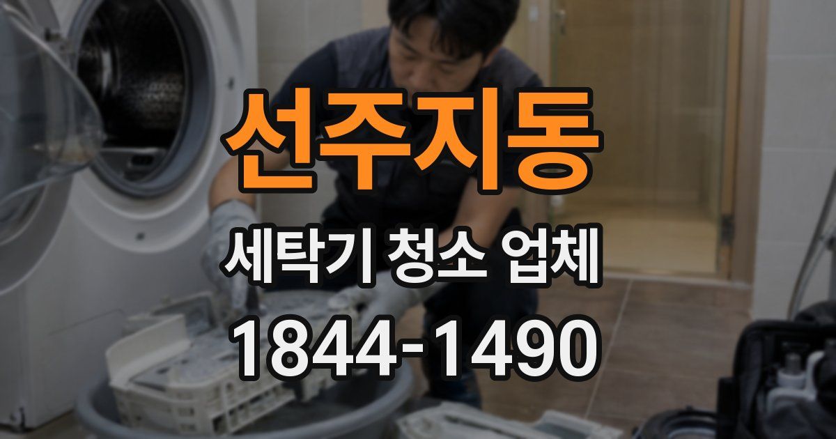 선주지동 세탁기 청소 업체